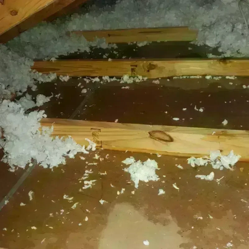 Attic Water Damage in Berry, AL