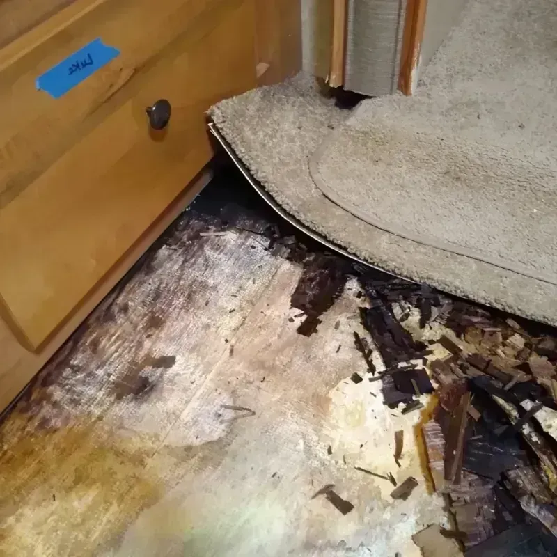 Wood Floor Water Damage in Berry, AL